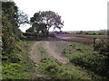 Ploughed land next to the path leading to the Ballynoe Stone Circle