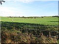 Grazing land between Ballynoe Road and the Ballynoe Stone Circle