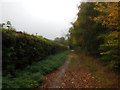 Warren Lane Towards Thorncliffe Road