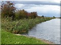 SX9686 : Exeter Ship Canal north of Turf Locks by David Smith