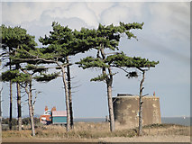 TM3539 : Martello tower 'W' on Bawdsey point by Adrian S Pye