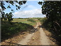 Field access lane on the Erenagh Road, Ballynoe