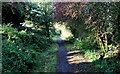 Northumberland Coast Path in North Sunderland