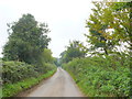 Lane to North Bowood