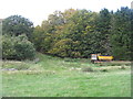 Pasture and shelter belt at Threepwood