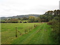 View towards Bredon Hill