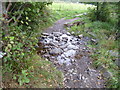 West Highland Way crossing a stream near Balmaha