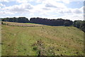 North Downs Way, Wye Downs