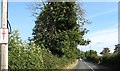 View northwards along Loughinisland Road