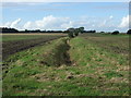 Drain west of Drummersdale Lane