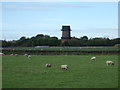 Windmill near Windmill Farm