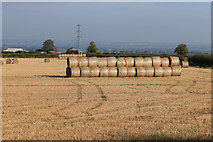 SE7772 : Harvest in and straw baled by Pauline E