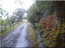 NN3218 : West Highland Way near to Beinglas by Dave Kelly