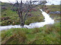 NN3421 : Stream near Blackcroft Fords from the West Highland Way by Dave Kelly