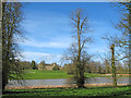 The Lake at Lydiard Park - 3