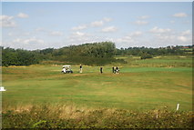 TQ6906 : Playing golf by N Chadwick