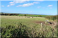 Farmland near Newbyre