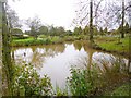 Telford Crematorium, pond