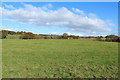 Farmland near Mareburn Bridge