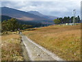 NN3039 : West Highland Way south of Bridge of Orchy by Dave Kelly