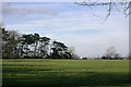 SP0677 : Pasture north of Crabmill Farm, and a glimpse of Birmingham by Robin Stott