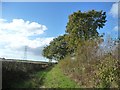 Public footpath to Aikhead, looking west