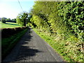 H7054 : Glasdrummond Road, Annagh by Kenneth  Allen