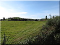 Farmland on the eastern edge of the village of Loughinisland