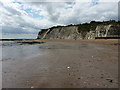 Chalk cliffs, south of Dumpton Gap