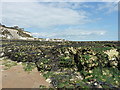 Wavecut platform at South Cliff