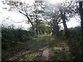 Public footpath to Longhead Farm