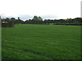 Farmland, Bolton Green