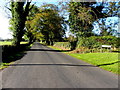 Castletown Road, Knocknarney