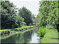 The New River between Turkey Street and Bullsmoor Lane (2)