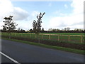 TM2766 : Field off the A1120 Saxtead Road by Geographer