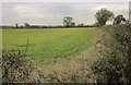 Field near Home Farm