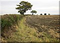 Field boundary near Hose Lane