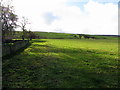 Bridleway to Buchshott Fell