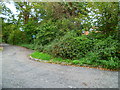 Looking along Nash Grove Lane at the junction with Gilbert Lane