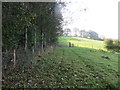 Field-side Path near Bishop Ings