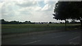 View of the A13 across Goresbrook Sports Ground from Goresbrook Road