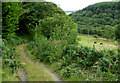 Farm track south-east of Strata Florida, Ceredigion