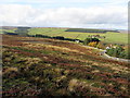 Moorland near Presser Pumping Station