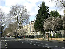 TQ2781 : Sussex Gardens, Paddington, at the junction with Southwick Street, early spring by Robin Stott