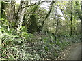 Ruin near Abermawr