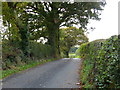 The road to Hollybush Farm, between Dingestow and Tregare