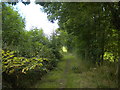 Bridleway east of Gonalston (3)