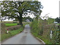 Bridge over drainage channel, near Bryngwyn