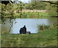 Fisherman on the River Soar