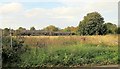 Old airfield buildings by Coach Gap Lane